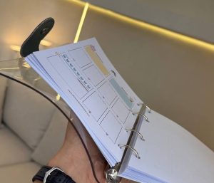 پلنر مونایی